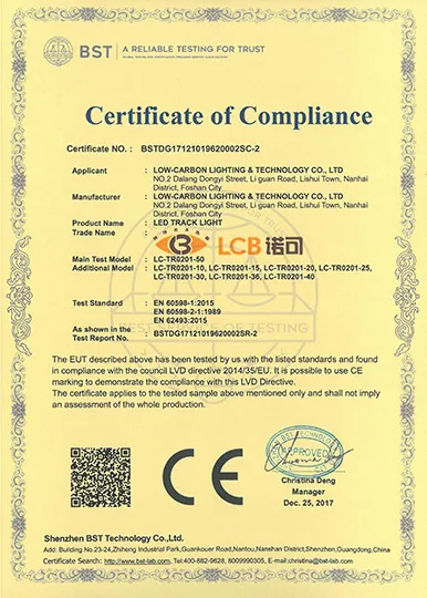 CE LVD safety certificate for TR0201 track spotlight