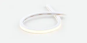1010 LED neon flex