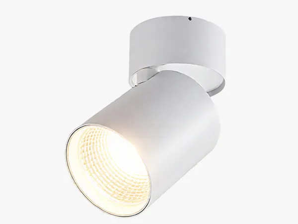LC-SL IRIS-S surface mounted downlight