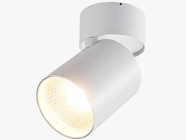 LC-SL accent tiltable downlight